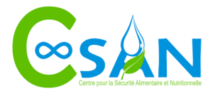 Logo CSAN Niger png