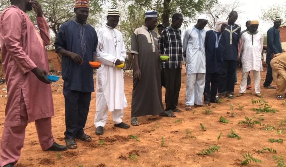 Séance de démonstration en technique de microdose d'engrais par des agriculteurs dans la commune de Hamdallaye - Good Neighbors Niger