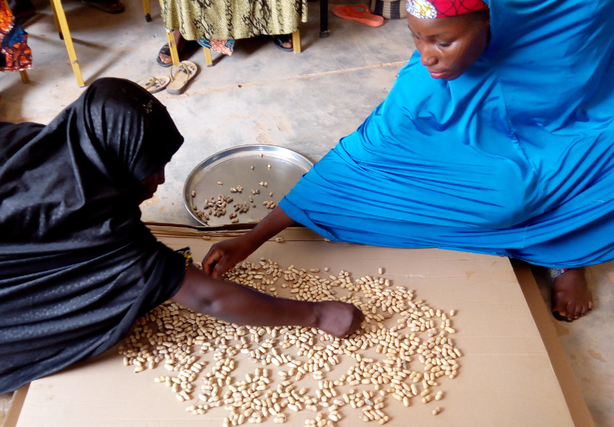 Séance de tri de l'arachide par membres de la coopérative Larewa lors de la formation hygiène sécurité des aliments gestion des entreprise