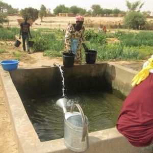 Methode manuel d'irrigation par des femmes