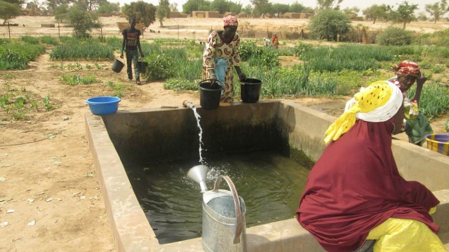 Methode manuel d'irrigation par des femmes