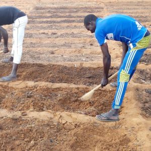Jeunes travaillant le sol