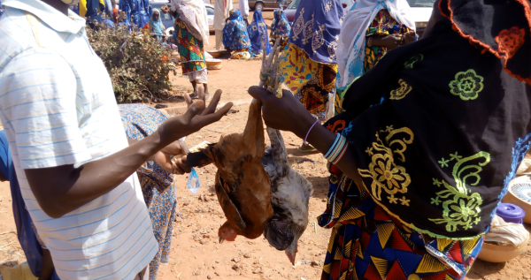 Vente de poulet entre jeune femme productrice et acheteur