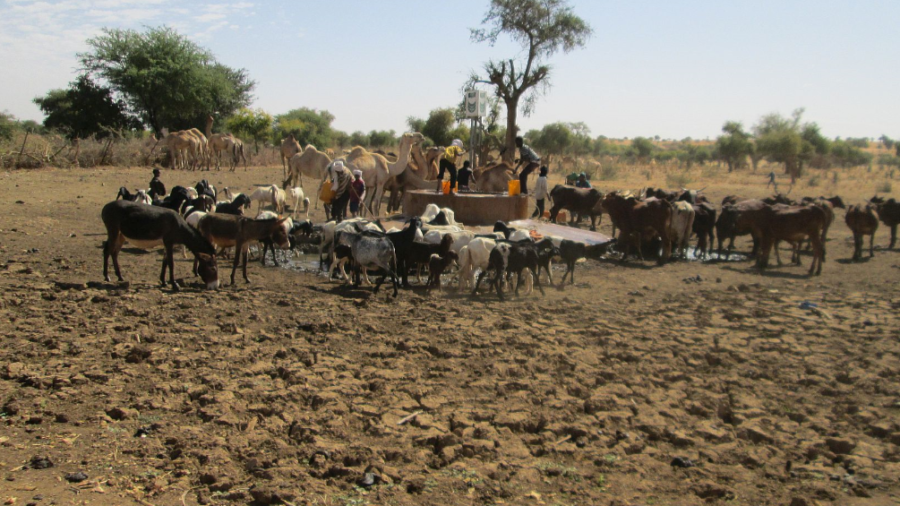 water scarcity in Niger