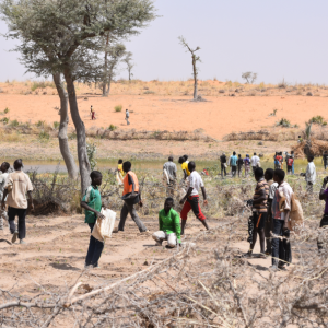 Jeunes et amenagement des terres effets des changements climatiques aux Niger