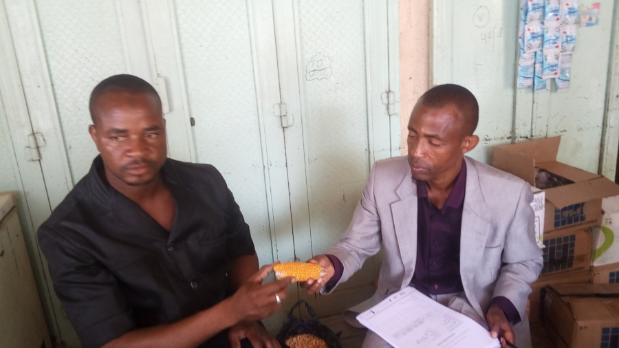 Enchanges entre un membre du cabinet bac avec un producteur de mais jaune à Maradi