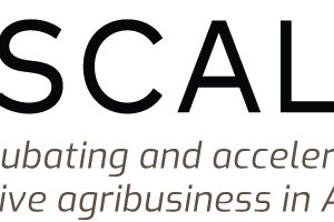 Logo de 2Scale Niger